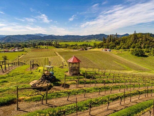 Abacela vineyard gazebo