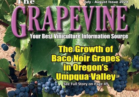 Grapevine Magazine Cover_Baco Noir in the Umpqua Valley_July 2024