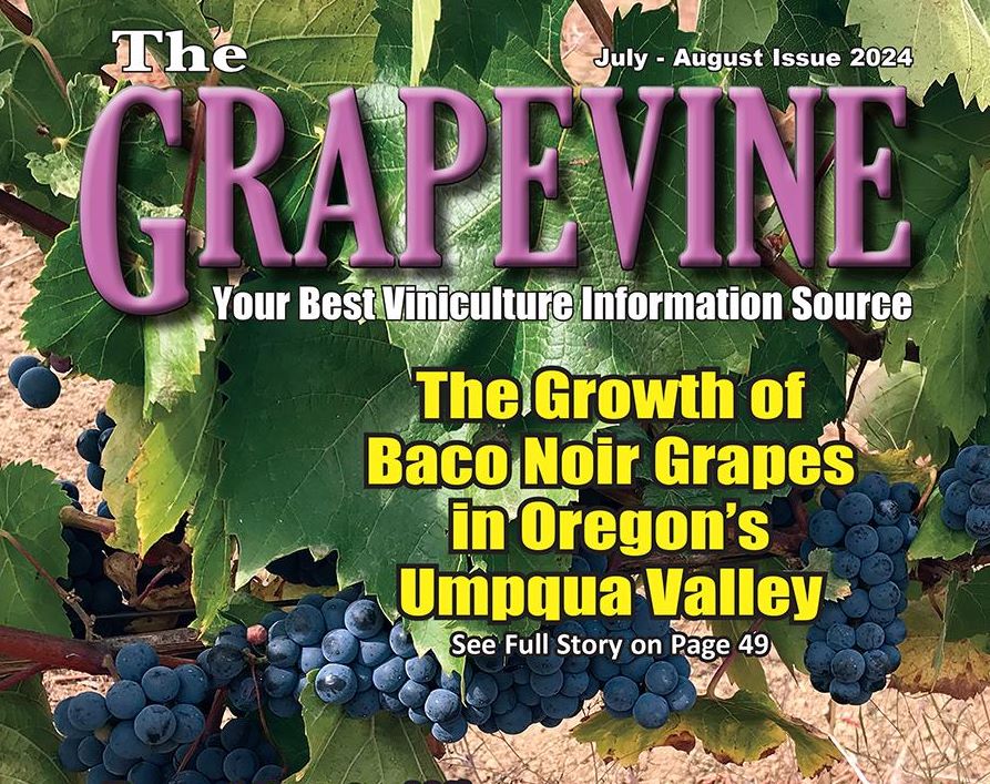 Grapevine Magazine Cover_Baco Noir in the Umpqua Valley_July 2024