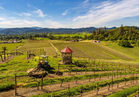 Abacela vineyard gazebo