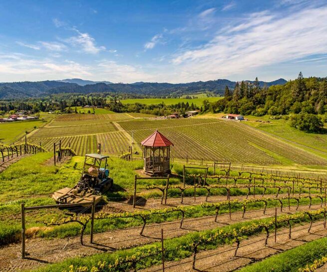 Abacela vineyard gazebo