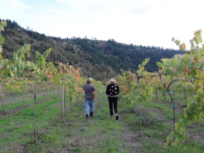 Freed Vineyards Oregon winemakers