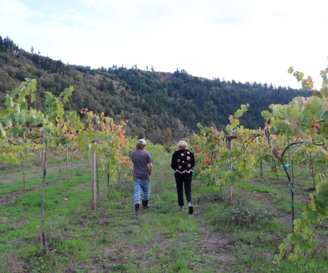 Freed Vineyards Oregon winemakers