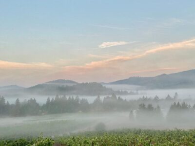 Girardet Umpqua Valley Oregon vineyard