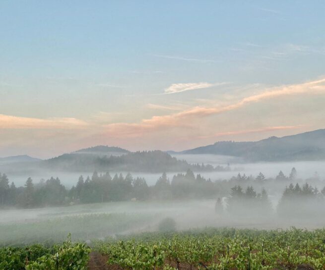 Girardet Umpqua Valley Oregon vineyard