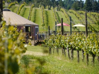 Haines Creek Oregon vineyard yurt